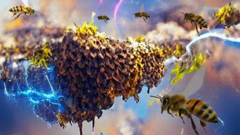 Les abeilles, une source d’inspiration technologique