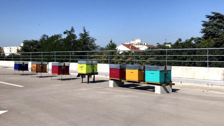Mesurer l’impact biodiversité grâce aux ruches connectées